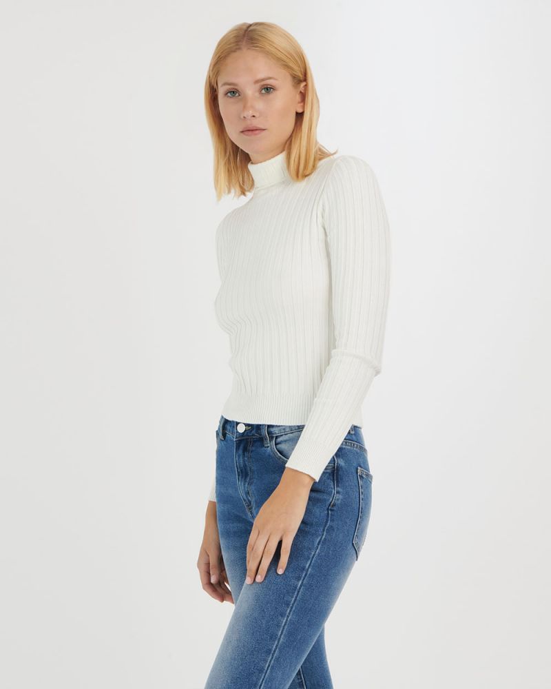 Samina Ribbed Turtleneck Sweater