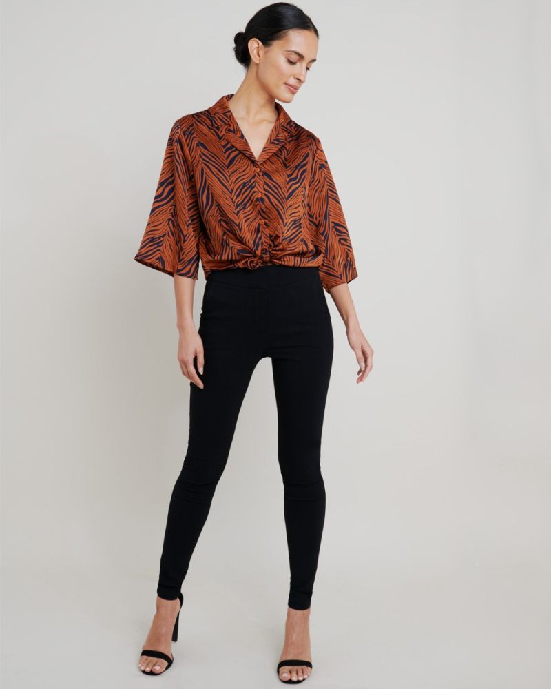 Kai Zebra Print Shirt Blouse