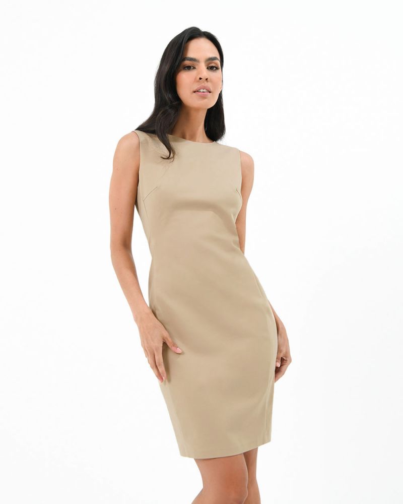 Taylor Fitted Dress