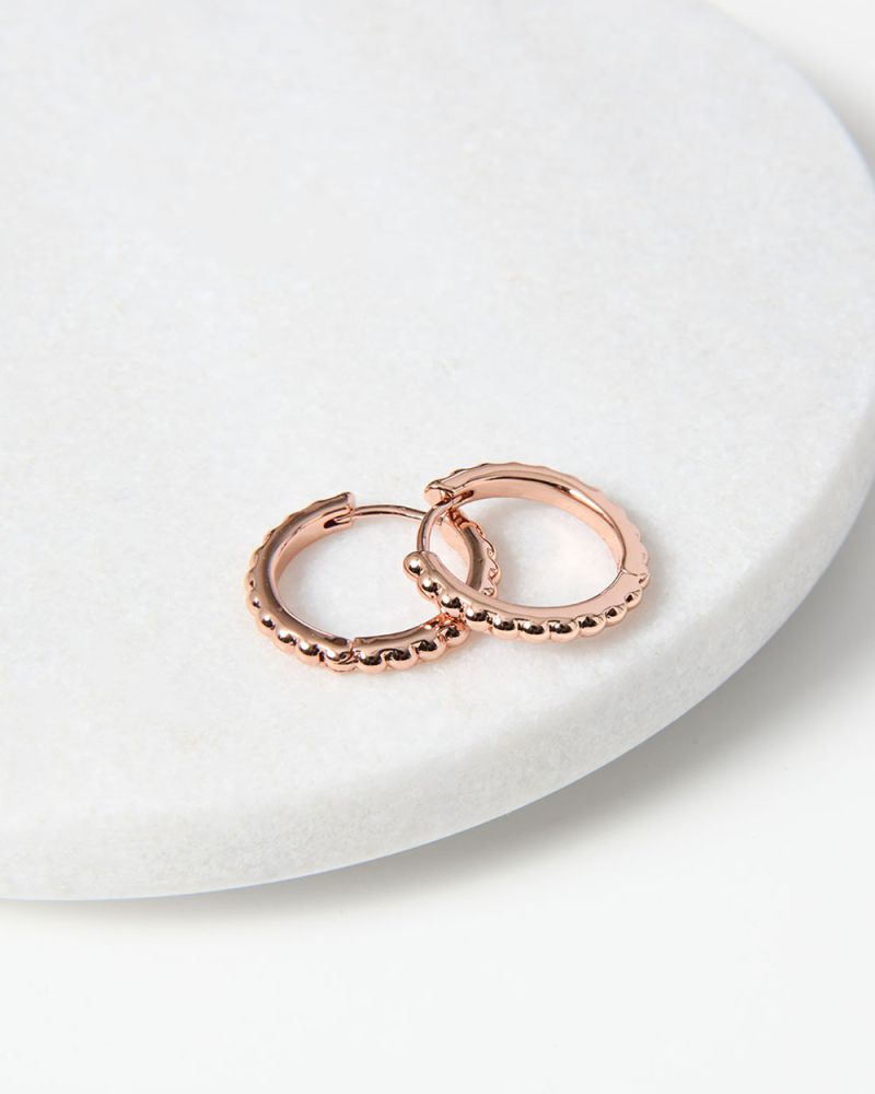 Haylie Rose Gold Plated Earrings