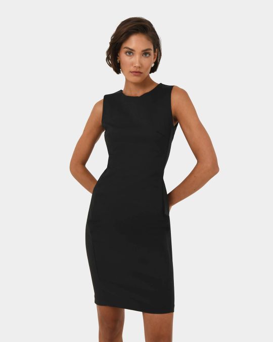 Taylor Fitted Dress
