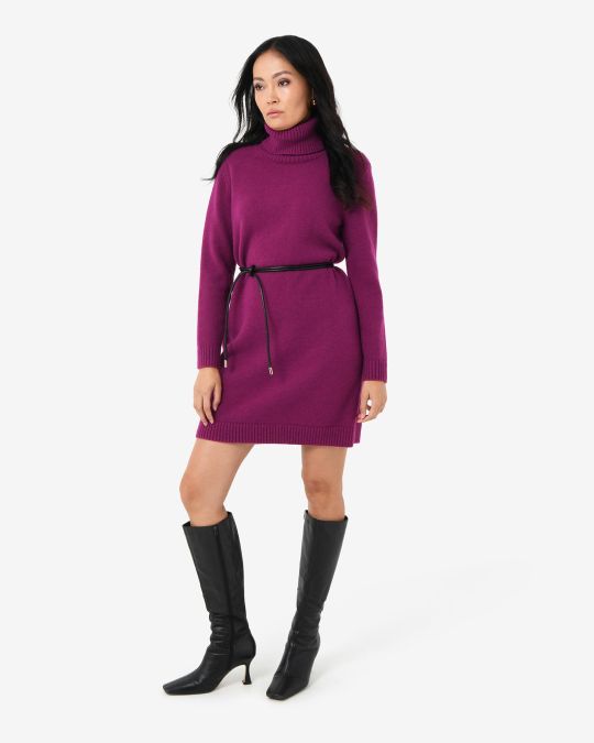 Sasha Wool Blend Knit Dress