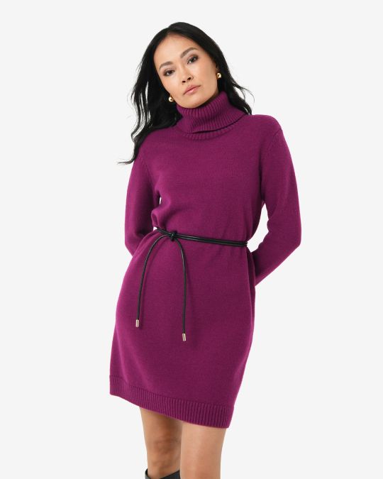 Sasha Wool Blend Knit Dress