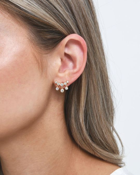 Kalea 16k Gold Plated Earrings