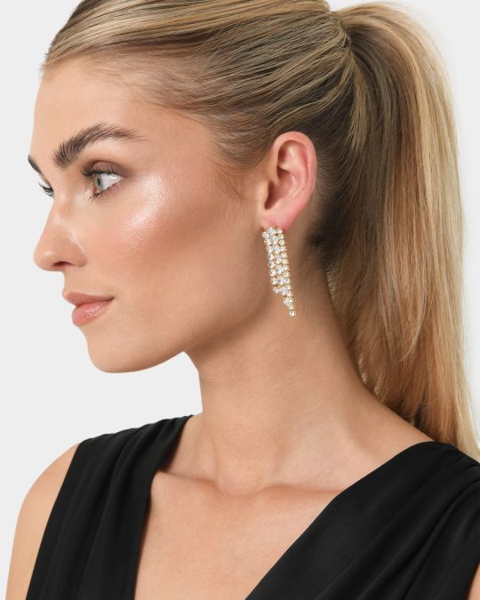 Abby 16k Gold Plated Earrings
