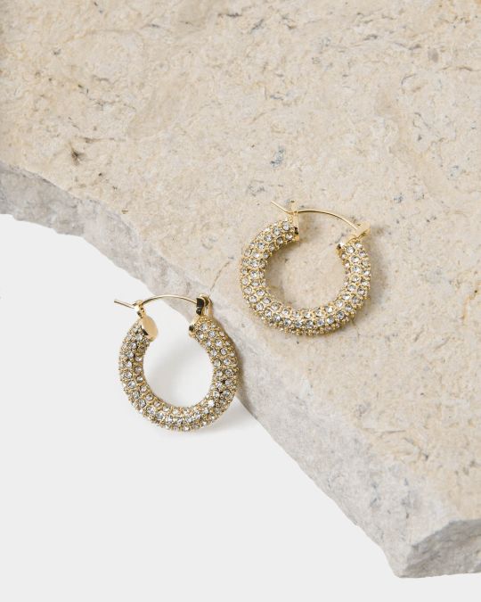 Leonie Gold Plated Earrings