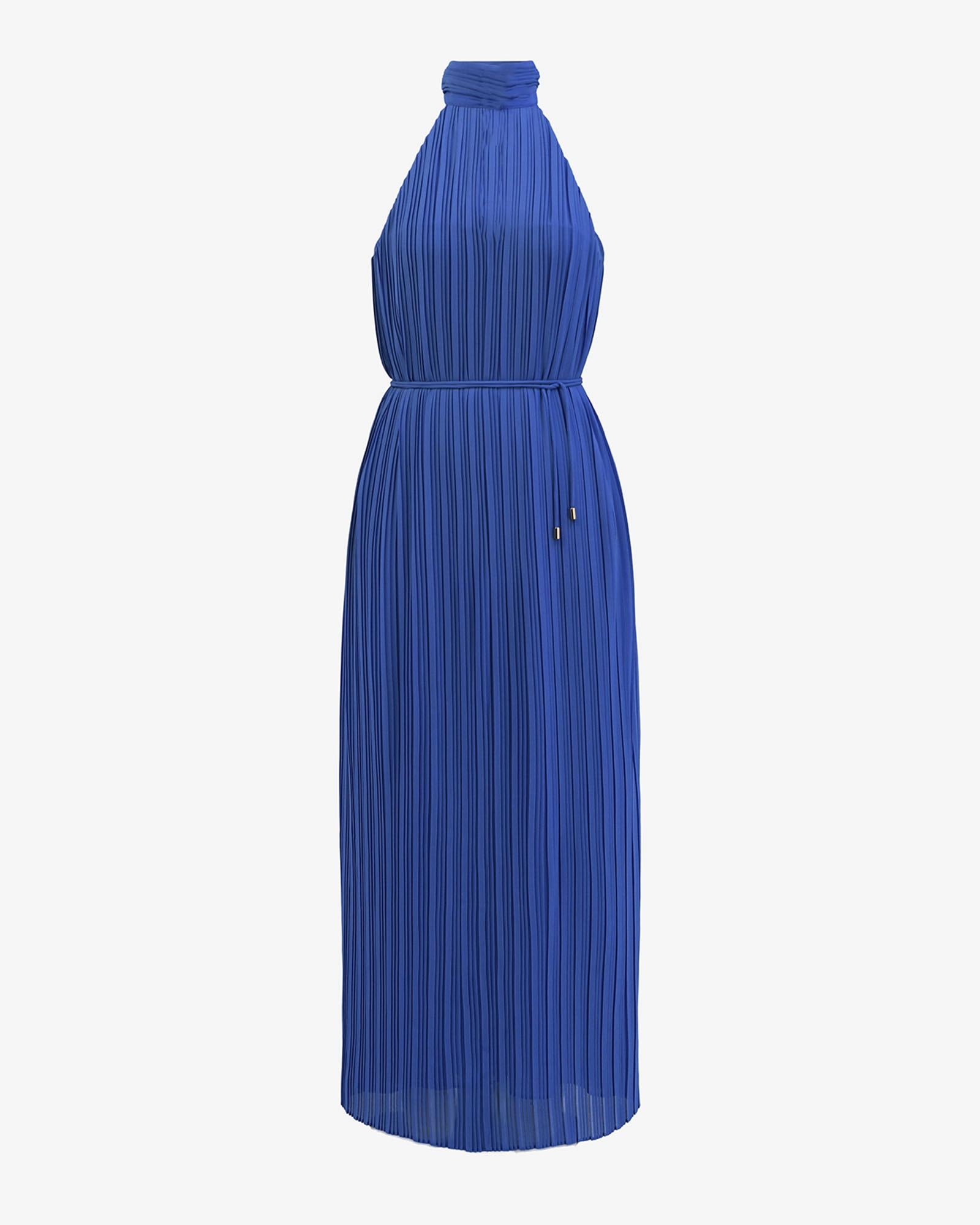 Shelly Chiffon Pleated Dress
