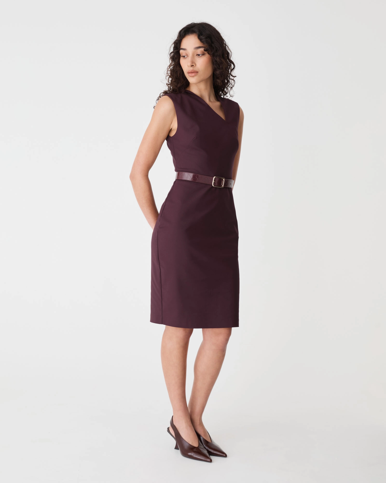 Fiona Asymmetric Pencil Dress