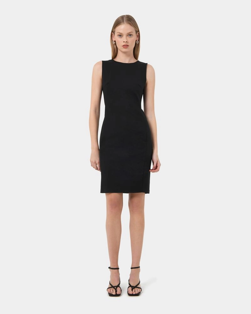 Forcast Clothing - Taylor Fitted Dress