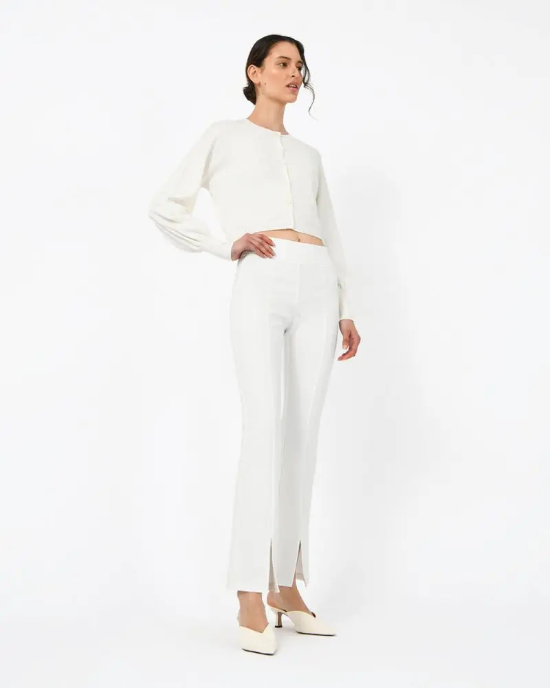 Forcast Clothing, the Marin Split Pants, features a front pleat and split leg
