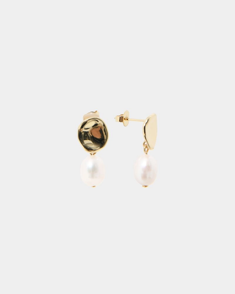 Forcast Accessories - Betty 16k Gold Plated Earrings
