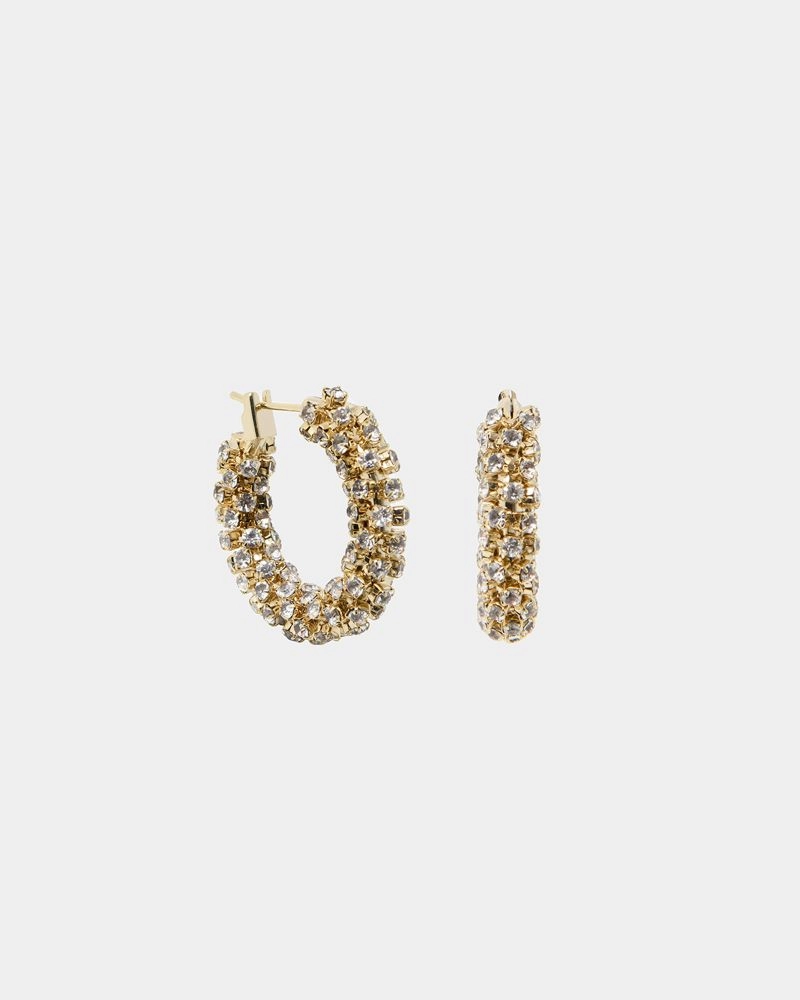 Forcast Earrings - Danica 16k Gold Plated Earrings