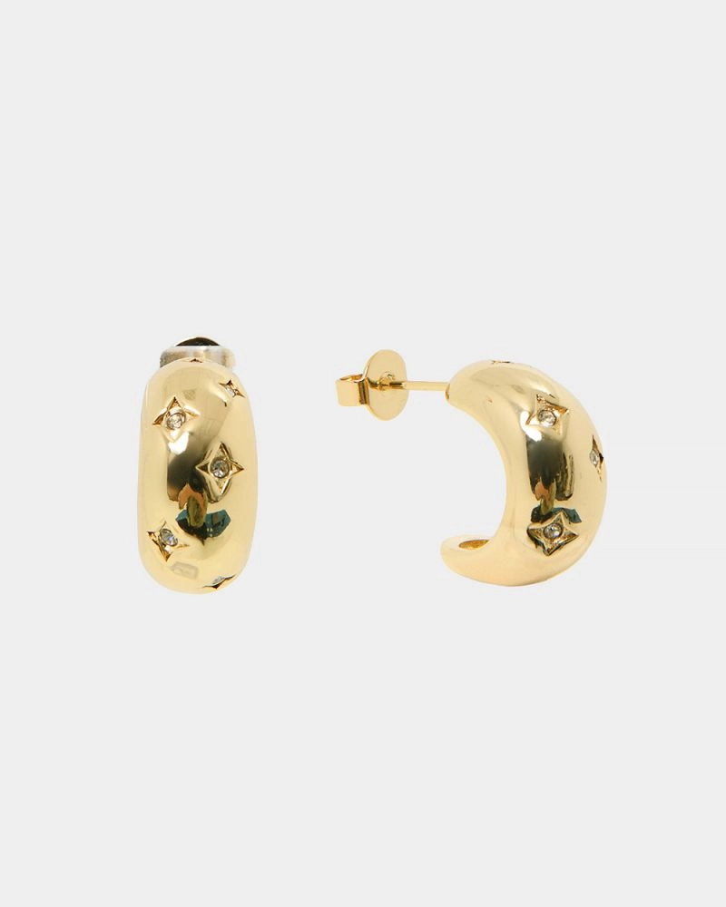 Forcast Accessories - Nikita 16k Gold Plated Earrings