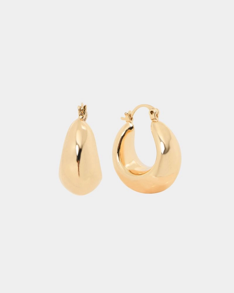 Forcast Accessories - Jianna 16k Gold Plated Earrings