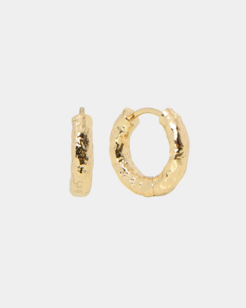 Forcast Accessories - Vania 16k Gold Plated Accessories 