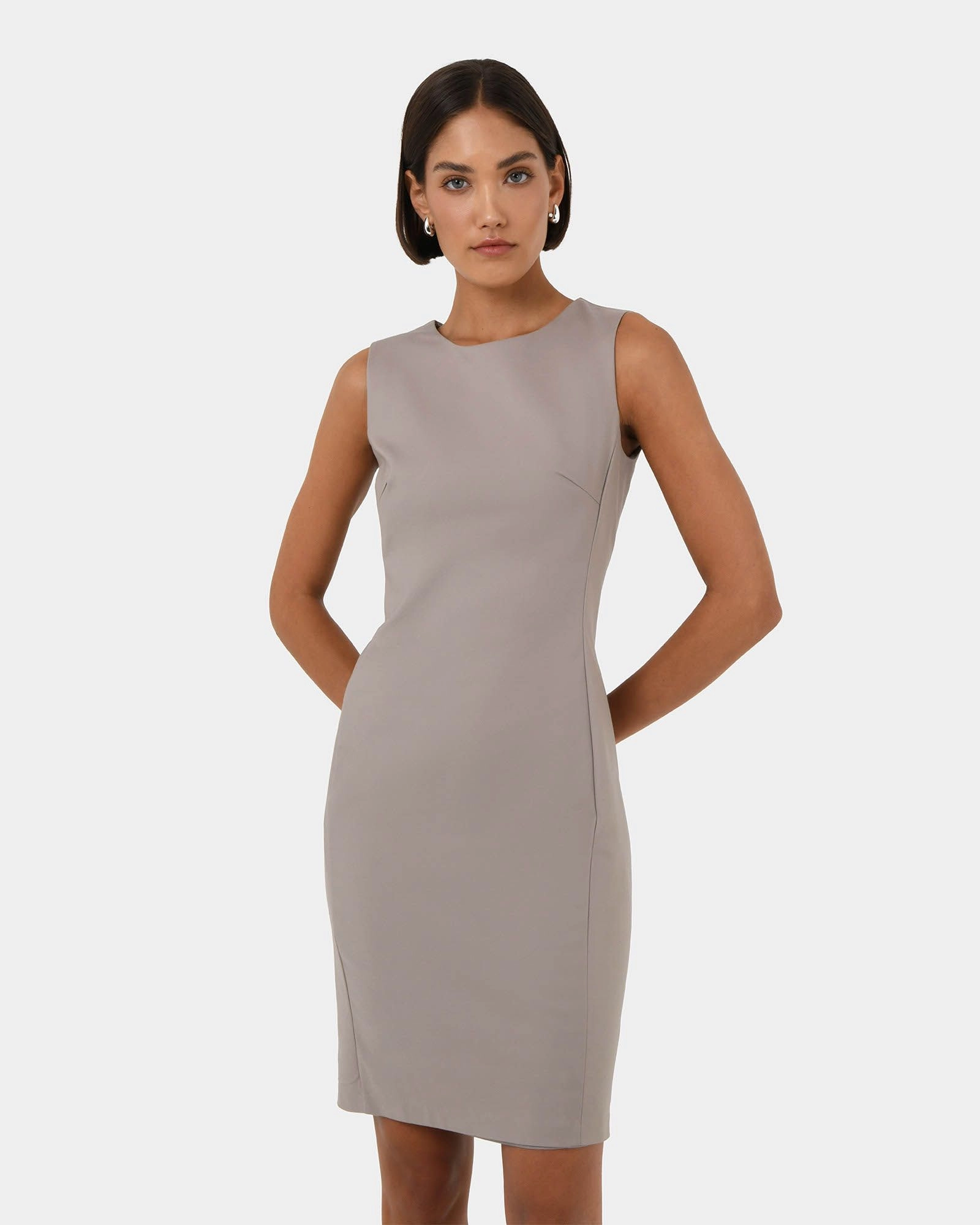 Forcast Clothing - Taylor Fitted Dress 
