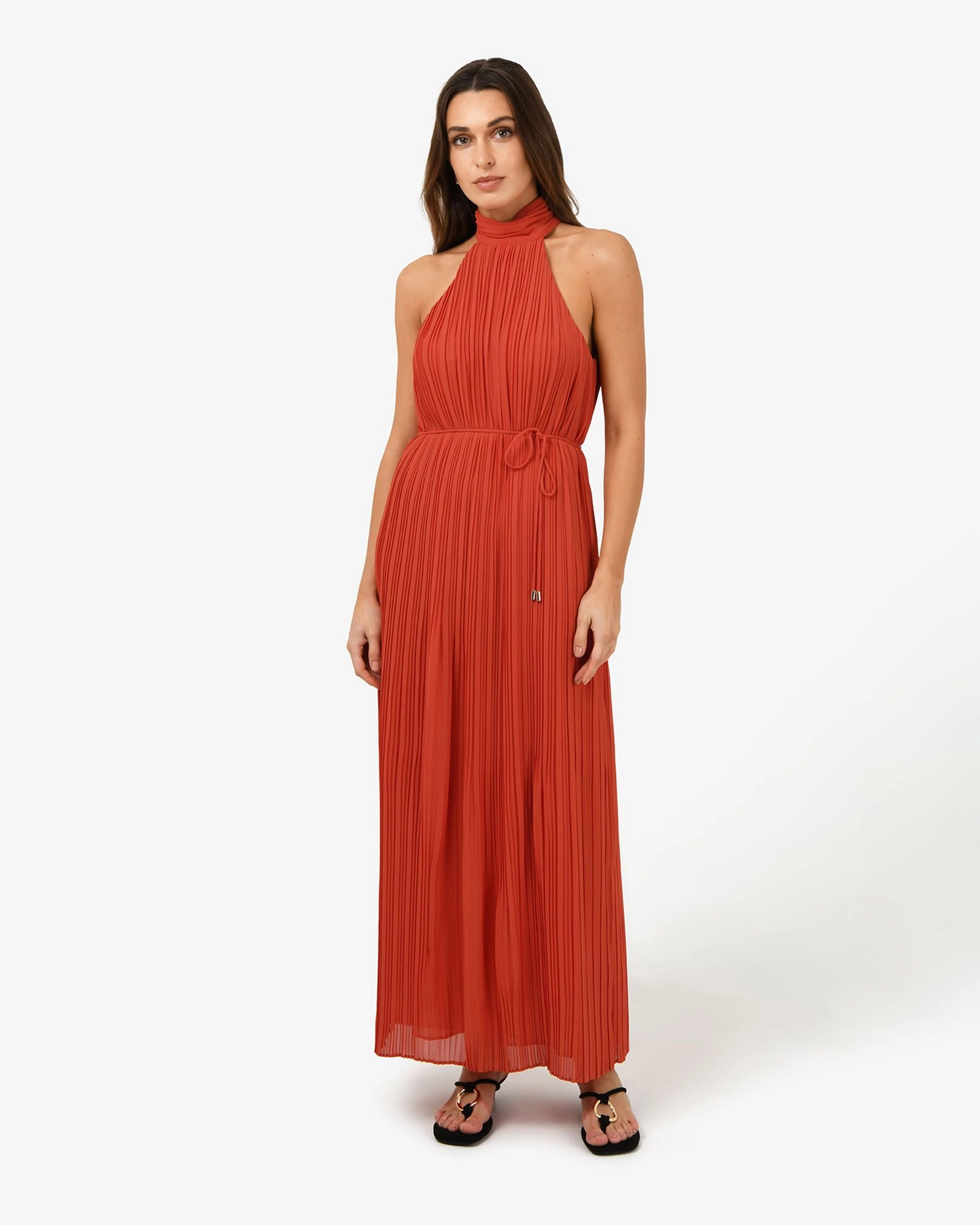 Forcast Clothing - Shelly Chiffon Pleated Dress