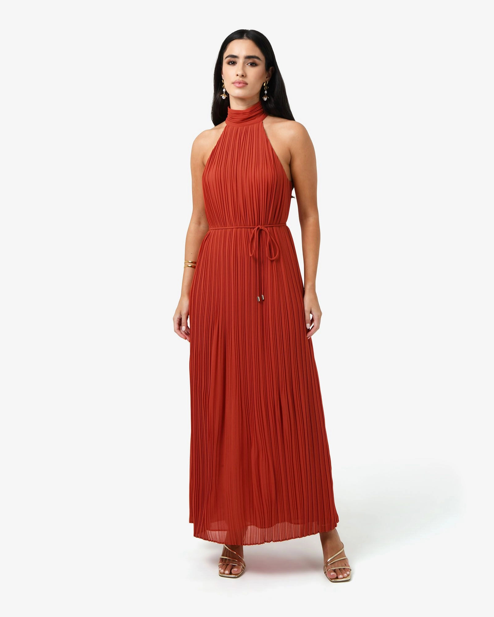 Forcast Clothing - Shelly Chiffon Pleated Dress