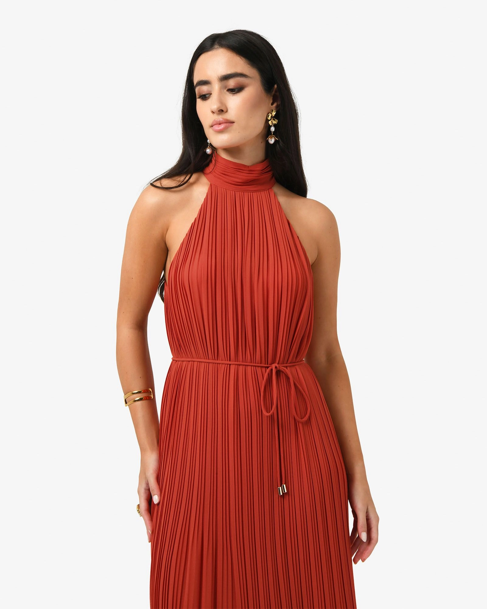 Forcast Clothing - Shelly Chiffon Pleated Dress