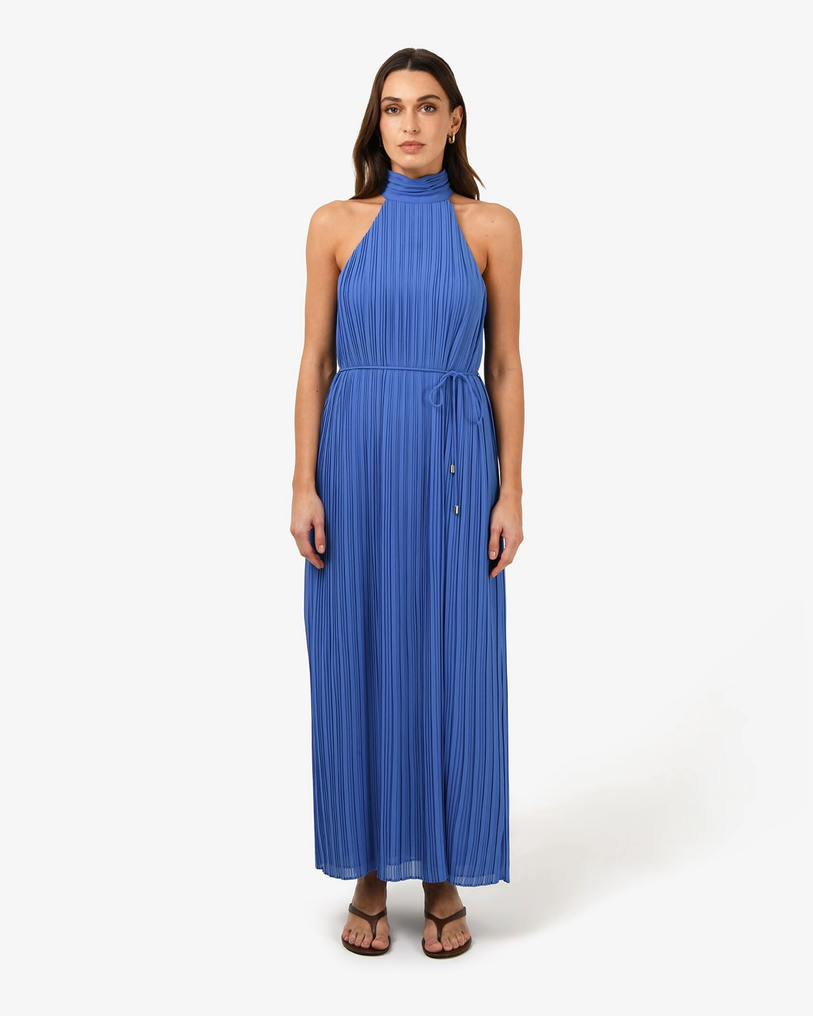 Forcast Clothing - Shelly Chiffon Pleated Dress