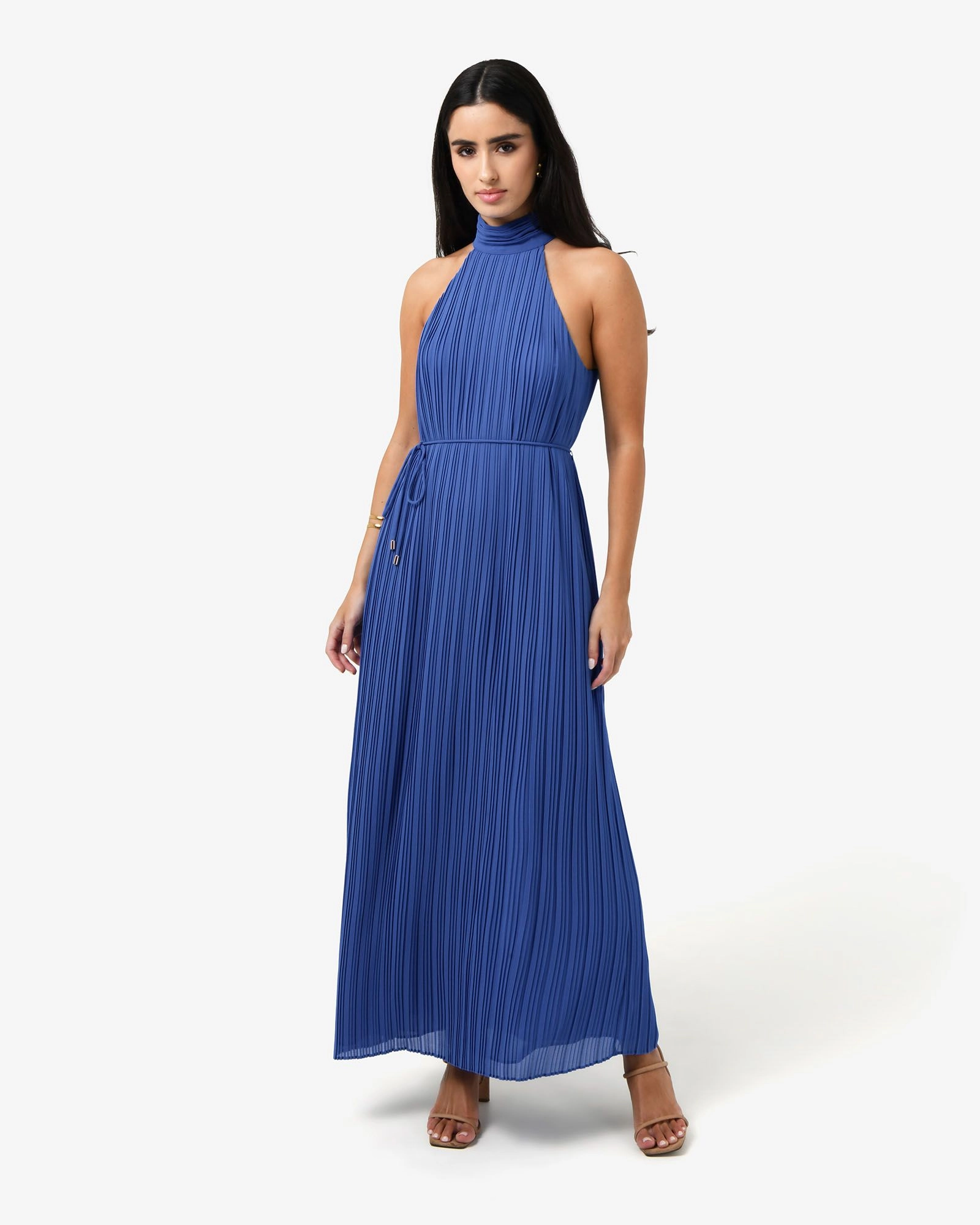 Forcast Clothing - Shelly Chiffon Pleated Dress