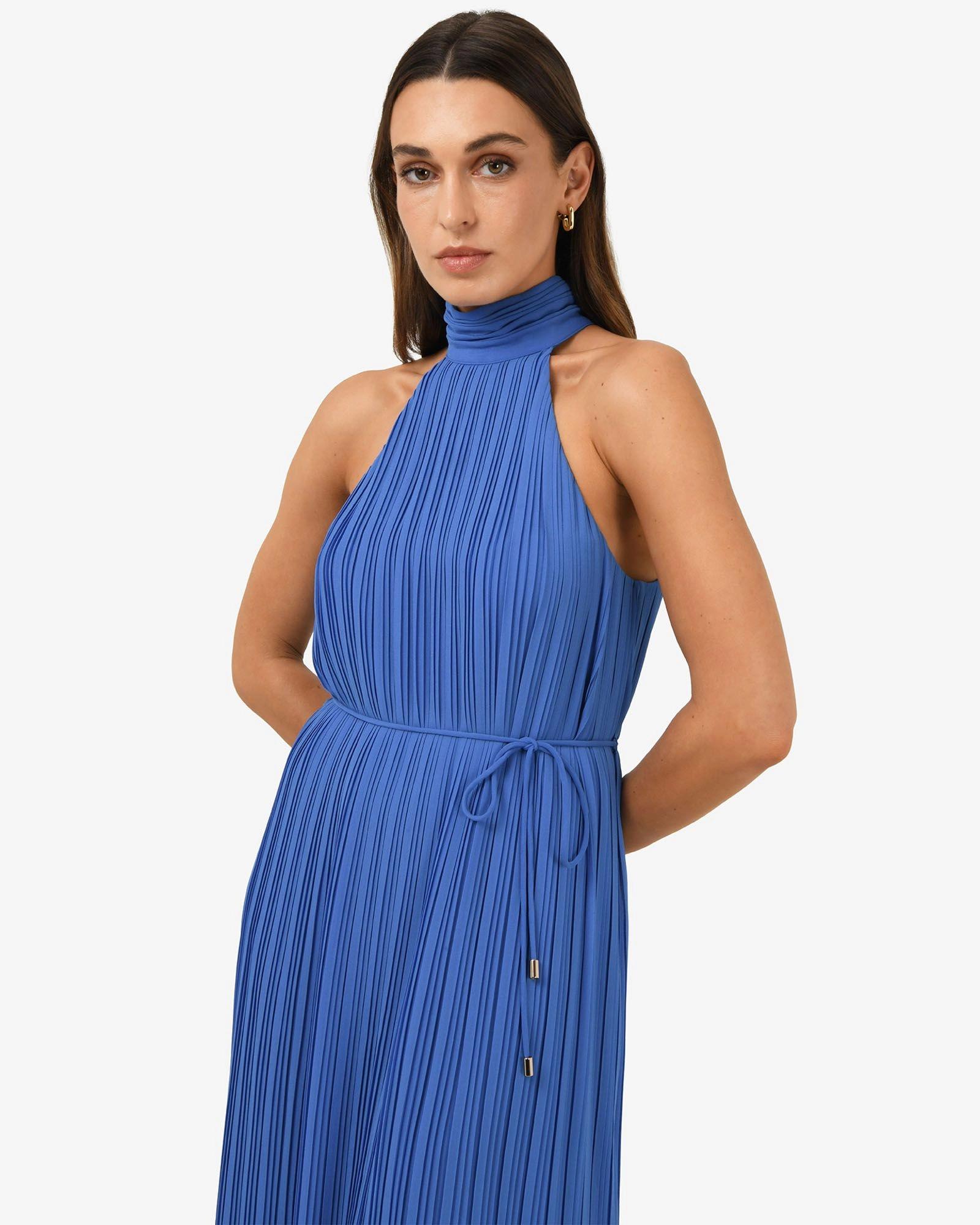 Forcast Clothing - Shelly Chiffon Pleated Dress