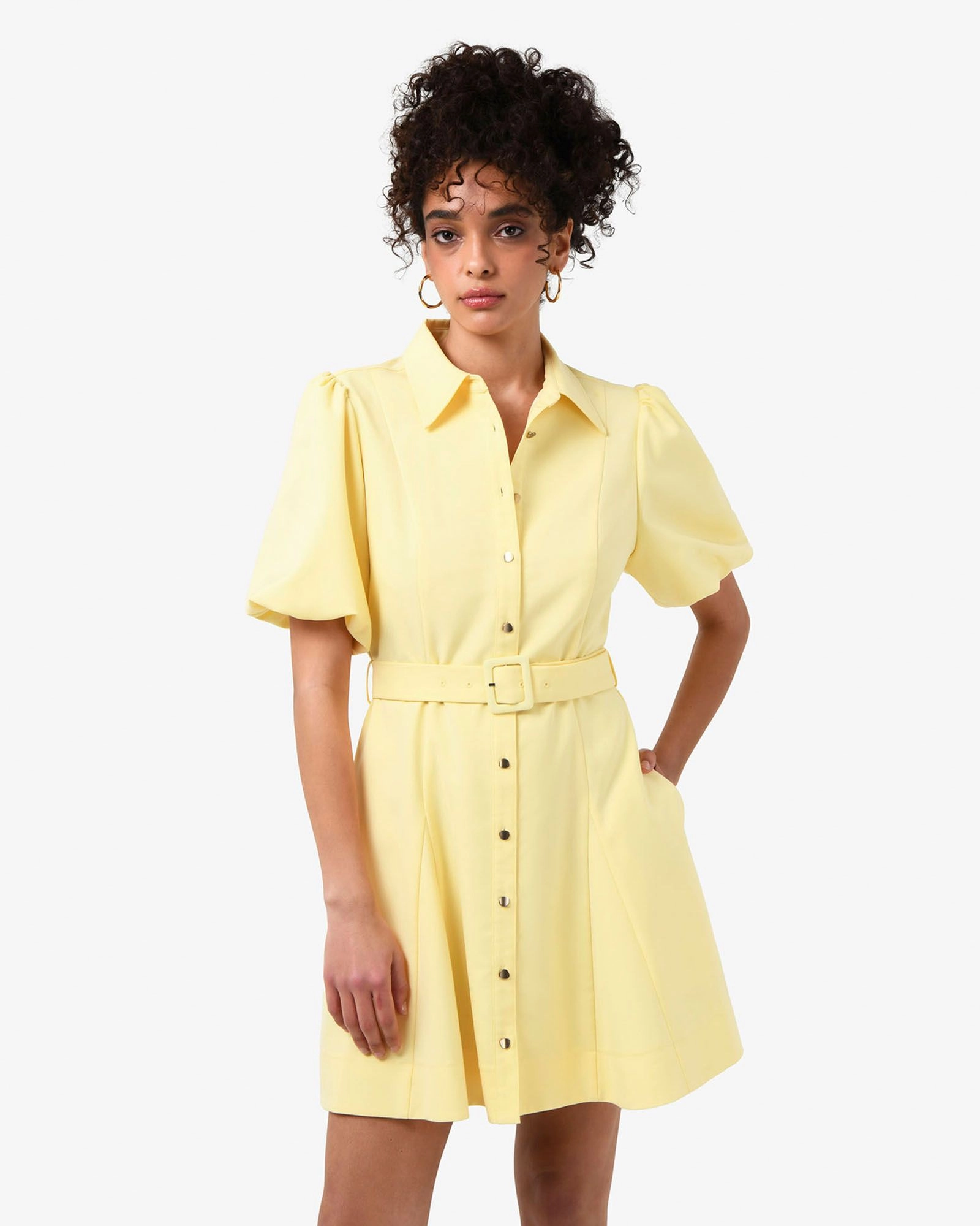 Forcast Clothing - Amera Utility Mini Belt Dress