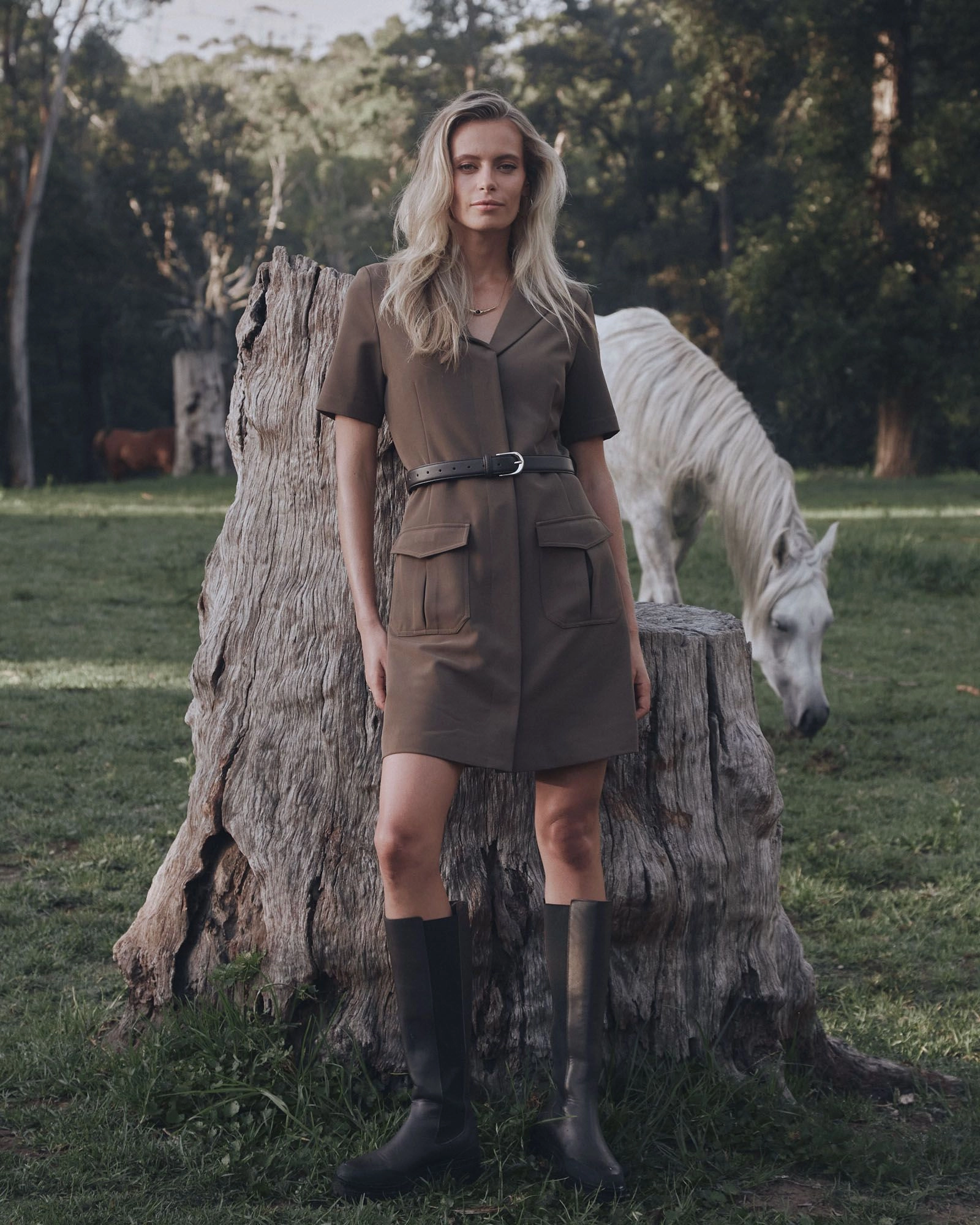 Forcast Clothing - Stevie Utility Mini Dress