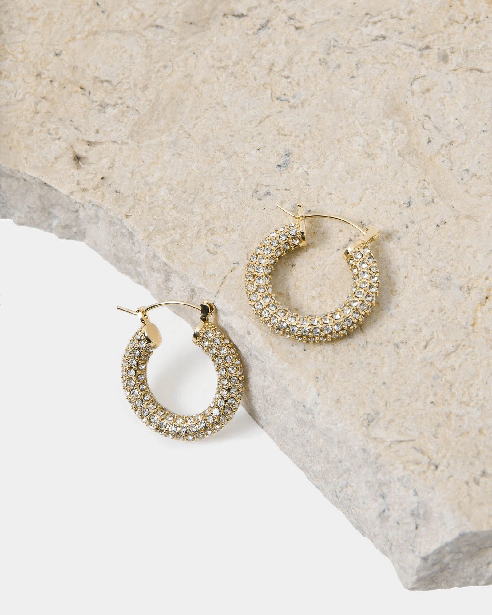 Forcast Accessories - Leonie 16k Gold Plated Earrings