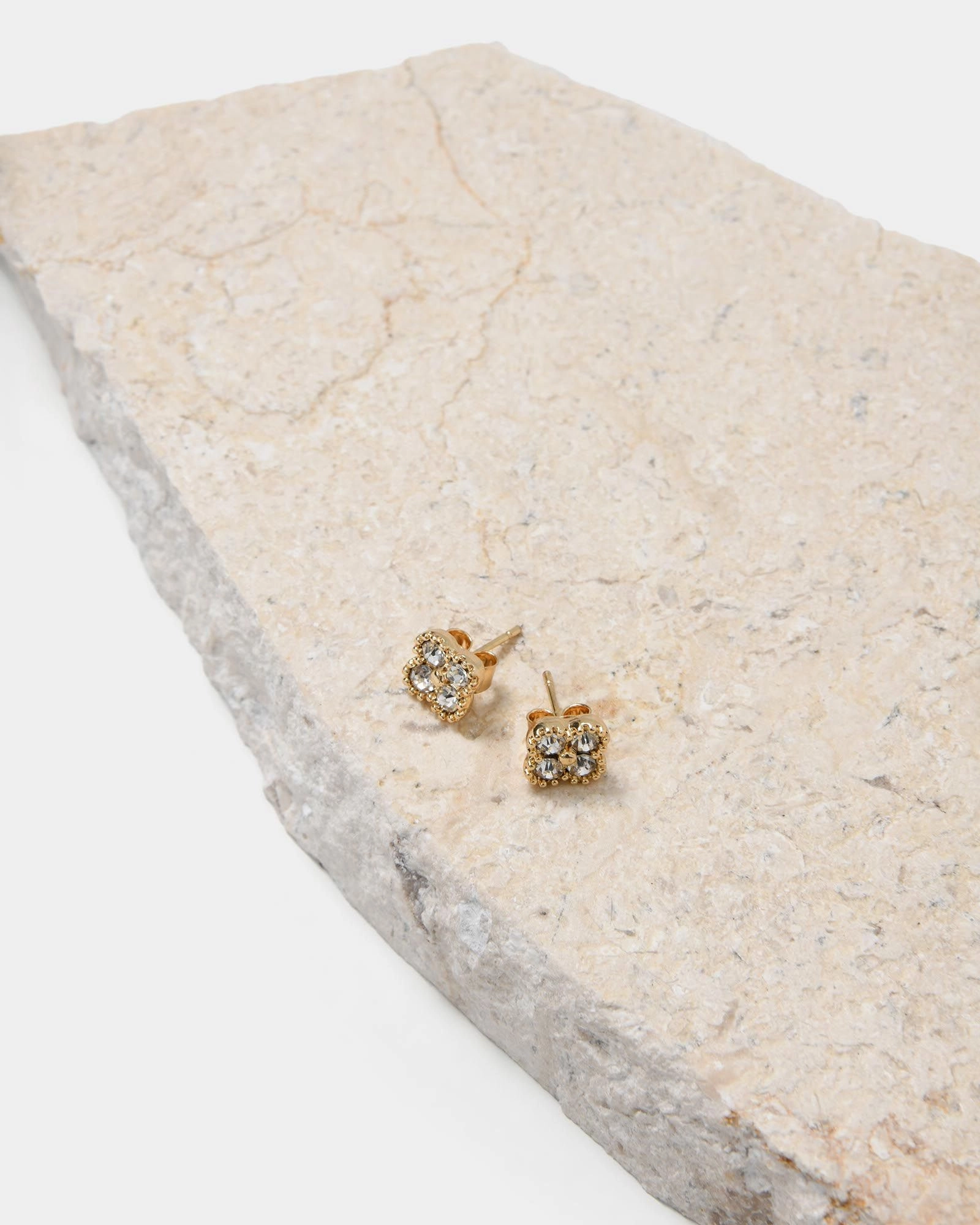 Forcast Accessories - Adriana Gold Plated Earrings