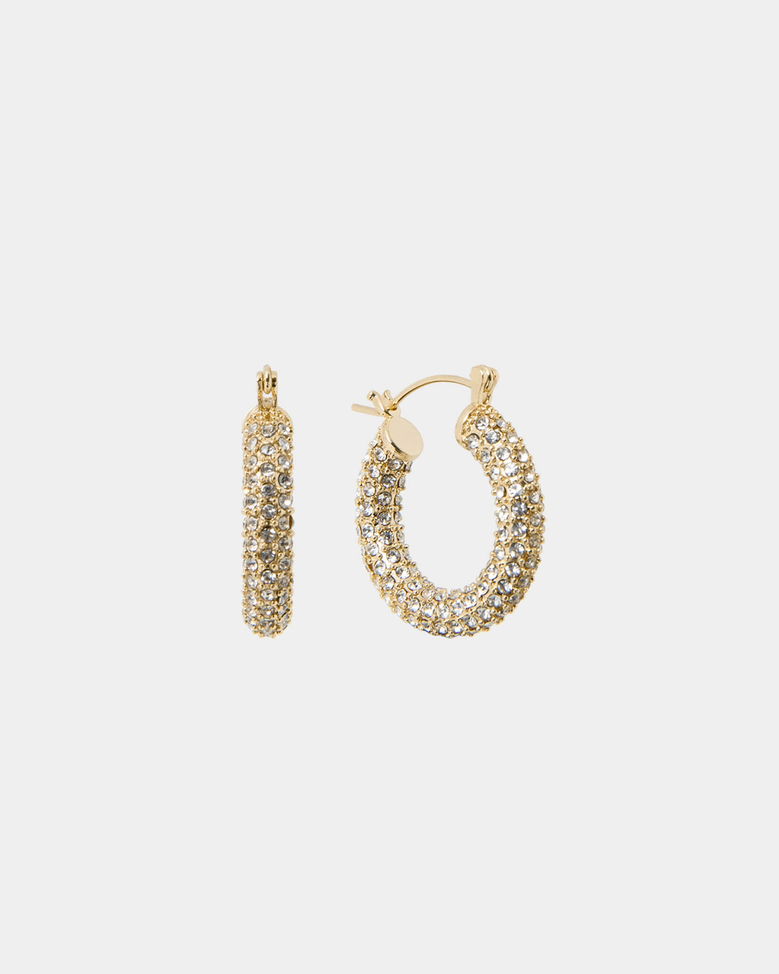 Leonie Gold Plated Earrings