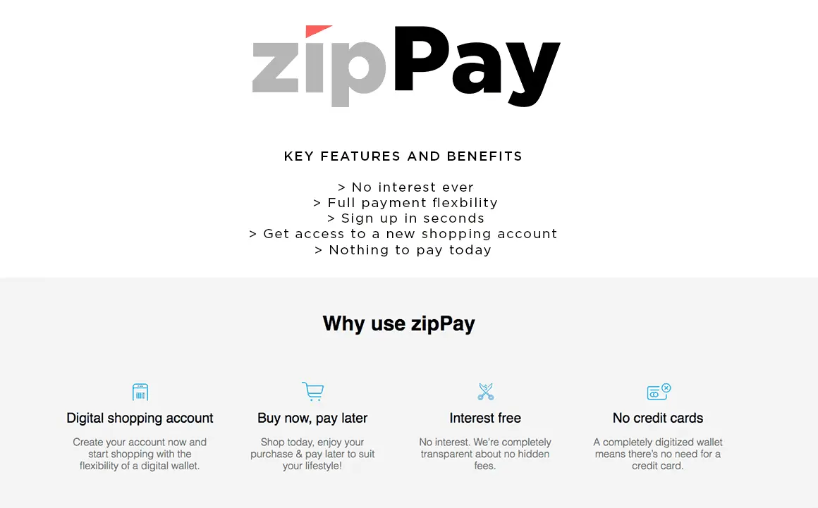 Zippay Infograpic